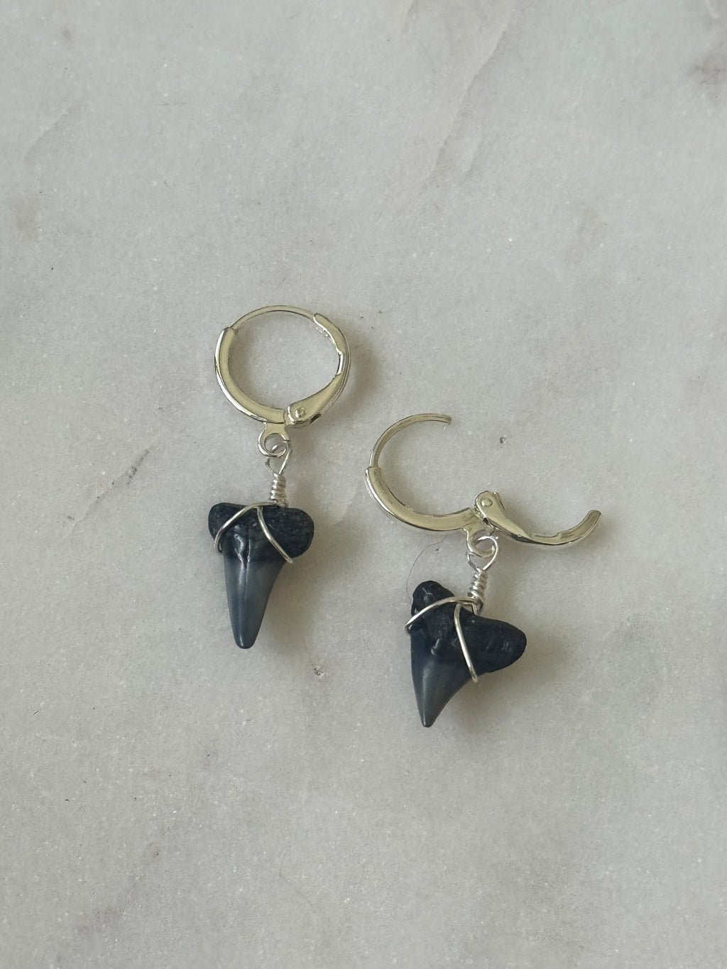 Sterling Silver Shark teeth Huggies - fossilized shark teeth