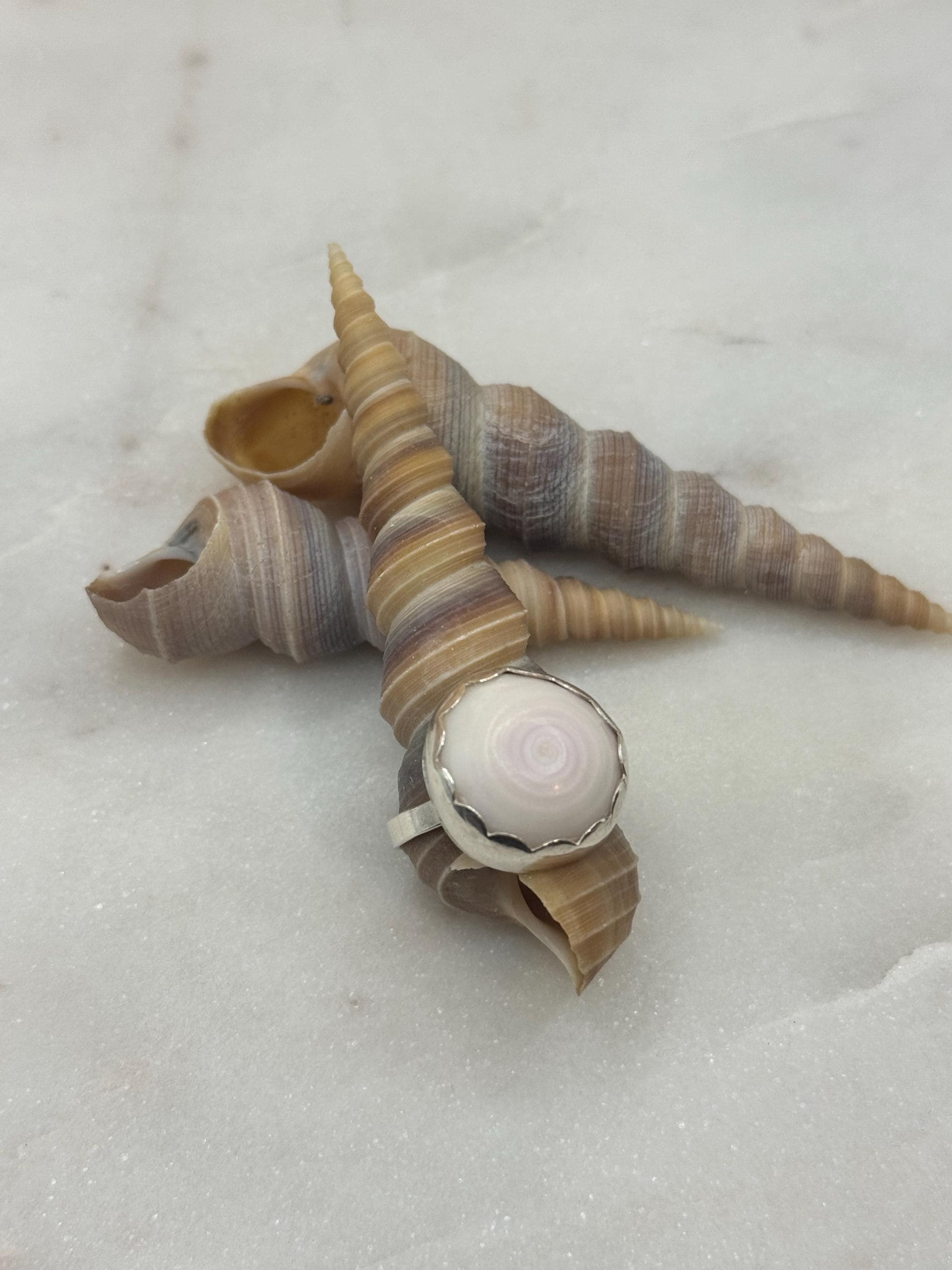 Sterling Silver Puka Shell Bezel ring - Size 6 - Handmade in Hawaii - Beach Jewelry
