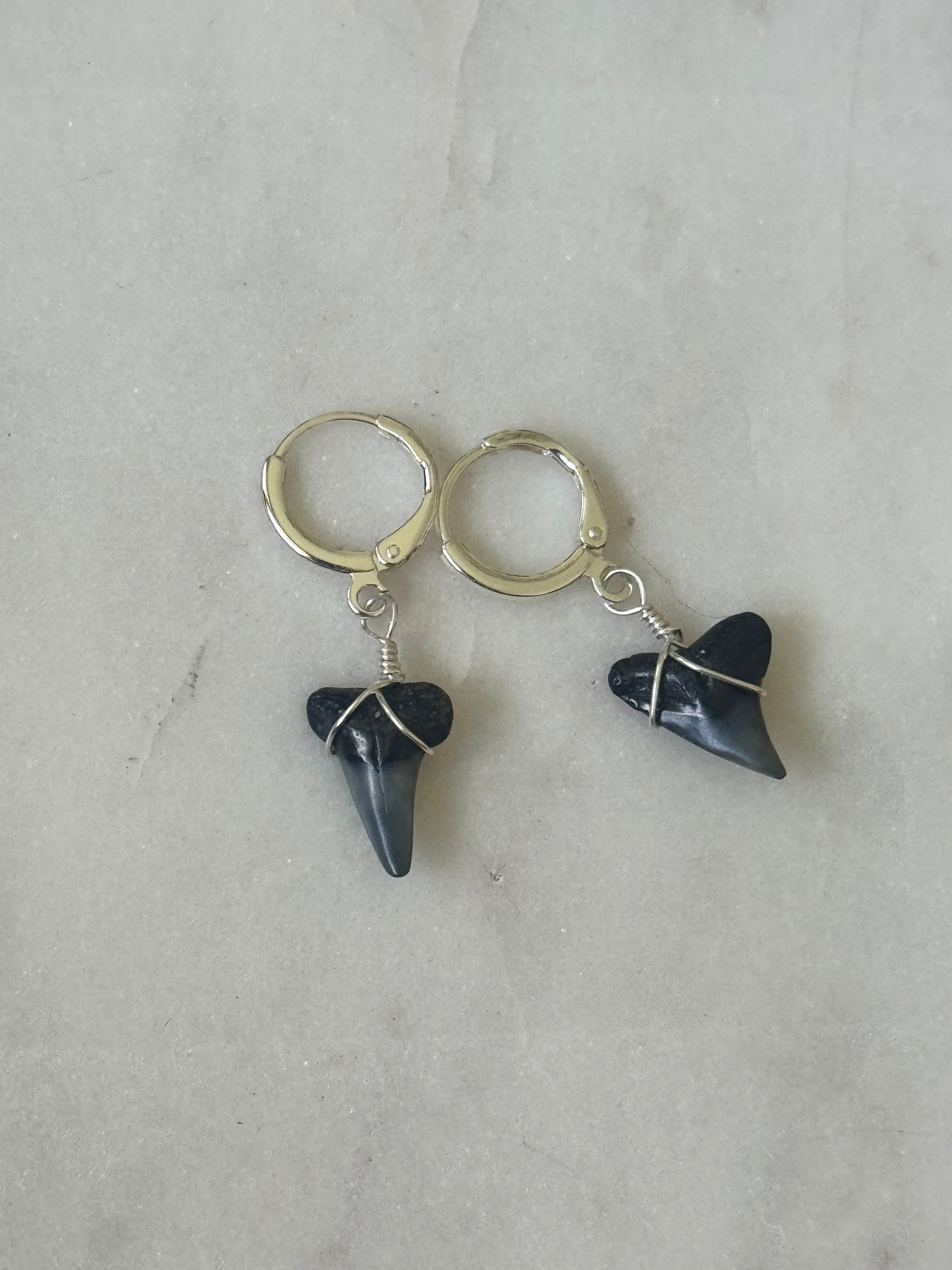 Sterling Silver Shark teeth Huggies - fossilized shark teeth