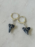 Sterling Silver Shark teeth Huggies - fossilized shark teeth